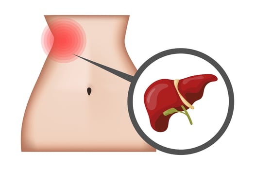 Liver Pain Showing Painful Area on Female Body and Close up of Liver vector