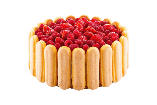 Tasty red berry charlotte cake isolated on a transparent background png