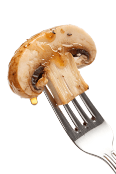 Cooked mushroom on fork isolated on transparent background, realistic food photo healthy ingredient png