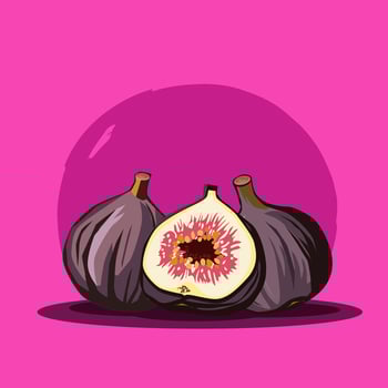 Juicy and healthy purple fig with half isolated on bright colorful background. fruit illustration in flat style. Summer clipart for diet design, healthy lifestyle, nutrition vector