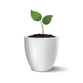 Realistic Plant Pot with Green Sprout Growing in Soil. Plant Pot Illustration for Eco Design, Sustainability, Gardening, Organic Branding and Indoor Plant Pot Concept Isolated on White vector