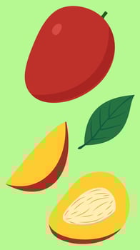 Hand-drawn illustration of a Miyazaki mango tropical Japanese fruit with vibrant colors, sweet flavor, and detailed design elements vector