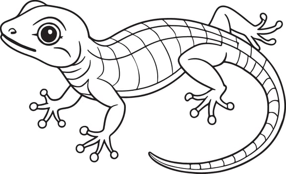 Eastern Fence Lizard Line Art Illustration Educational Animal Drawing vector
