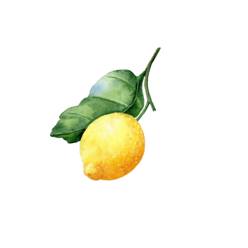 Hand-drawn lemon with leaf png