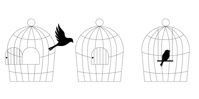 Doodle line art illustration of bird cages set hand drawn sketch collection of metal cages for birds different shapes and sizes pet house decor vector