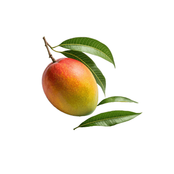 mango with leaves isolated on transparent background png