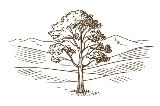 Solitary tree illustration with mountain landscape hand drawn rural countryside, single standing tree on open field vector