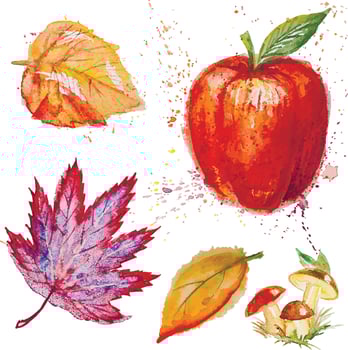 Watercolor autumn leaves and apple artwork vector