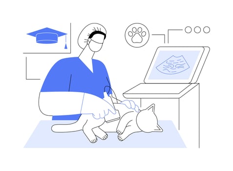 Ultrasound practice isolated cartoon illustrations. vector