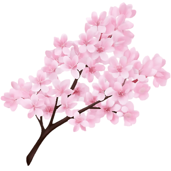 Cherry Blossom Branch with Spring Flowers png