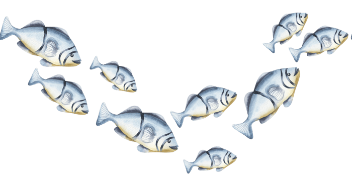 Underwater watercolor seamless border with small decorative blue fish illustration. Hand drawn deep sea creatures clipart, swimming aquarium fish banner for wallpaper,wrapping,poster,invitation design png