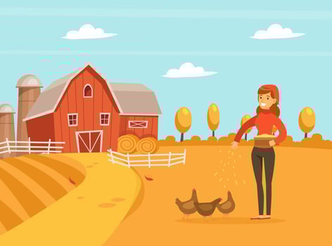 Woman Farmer Feeding Hen Chickens with Grain, Agricultural Industry, Healthy Food Production Illustration vector