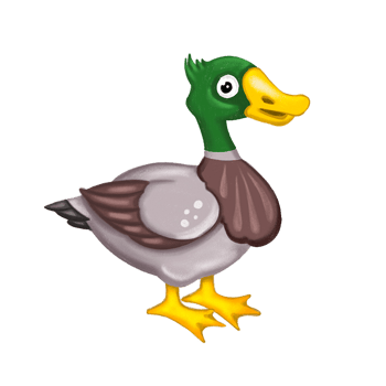 Duck animal cartoon style hand drawn illustration png