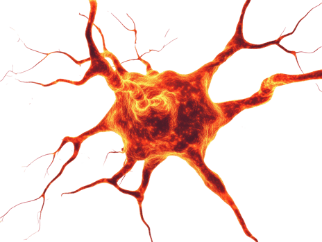 Fascinating neuron structure with vibrant colors for scientific use png