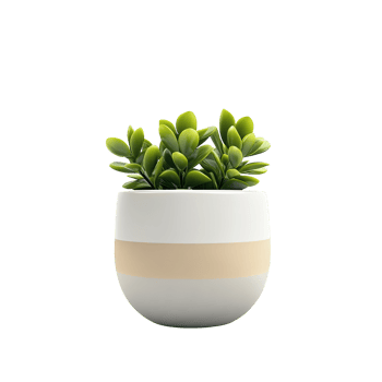 A white and beige striped pot with green plants png