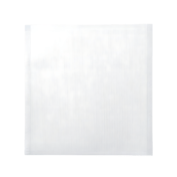 Floating Cloves of Spice on transparent Background png