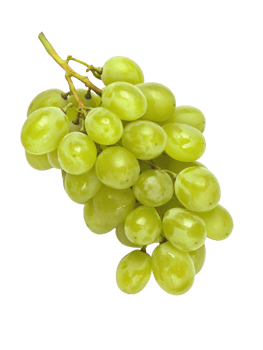 Green Grapes Bunch on Transparent Background png
