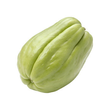 A Single Fresh Chayote Squash Isolated on a Gray Background Vegetable Photography png