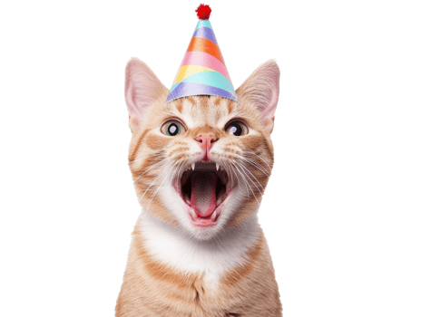Celebrating a joyous birthday with a playful cat in a festive hat png