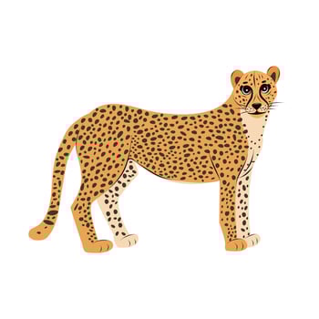 Funny cheetah isolated. Children cute animal illustration. African wildlife. Big cat guepard. vector