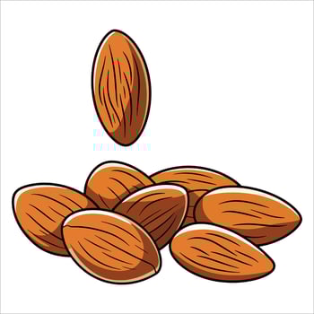 almonds isolated on white. Ideal for nutrition, baking, and organic food branding. vector