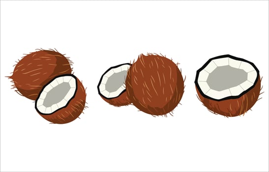 Natural coconut oil bottle illustration. Beauty and cooking ingredient isolated. vector