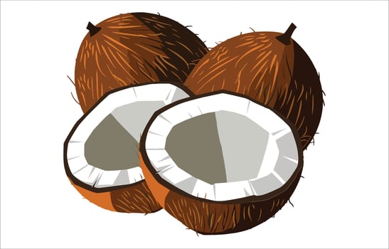 Natural coconut oil bottle illustration. Beauty and cooking ingredient isolated artwork. vector