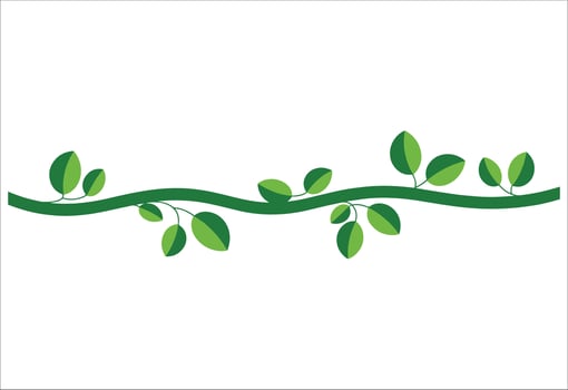 Jungle liana with leaves flat . Tropical vine design for adventure, rainforest, and exotic nature themes. vector