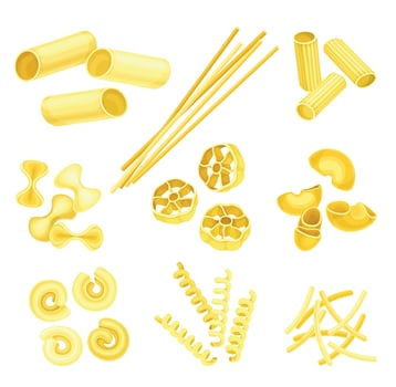 Pasta types set. Tortiglioni, fusilli, bucatini, rigatoni, maccheroni, filini. Italian restaurant menu design illustration vector