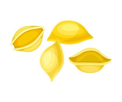 Conchiglie dry pasta. Italian restaurant menu design illustration vector