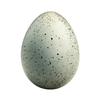 Isolated egg reveals its speckled texture and unique beauty on transparent background png