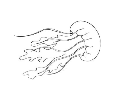 Minimalist Jellyfish Line Art Illustration vector