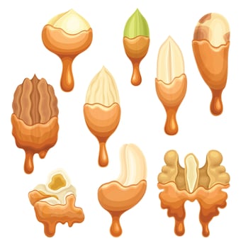 Nuts in liquid melted chocolate set. Nutritious natural sweet dessert illustration vector