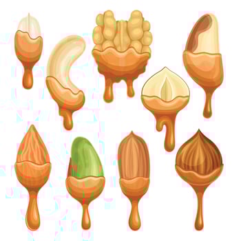 Nuts in liquid melted chocolate or caramel set. Nutritious natural sweet dessert illustration vector