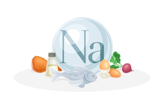 Sources of Na mineral. Salt, egg, reddish, fish healthy nutrition food. Mineral vitamin supplement illustration vector