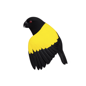 Stylized illustration of bird with striking yellow and black color scheme, featuring red eye, captures attention with its bold contrast and simplicity png