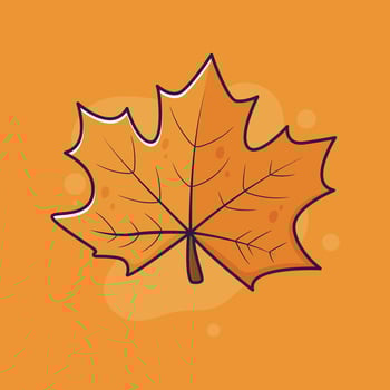 Maple leaf icon. Autumn season nature and season theme. Isolated design. illustration vector