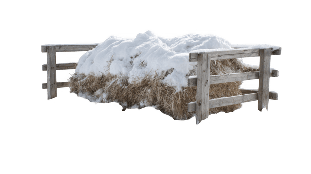Snow blanketing straw in wooden outdoor run with transparent background png