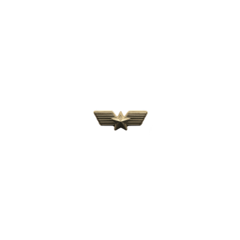 Gold star with wings design is centered on transparency background, symbolizing achievement and excellence. reflective surface adds touch of elegance and sophistication png