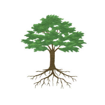 Detailed illustration of tree with green leaves and visible roots, symbolizing growth and stability. tree is depicted on plain background, emphasizing its intricate design png