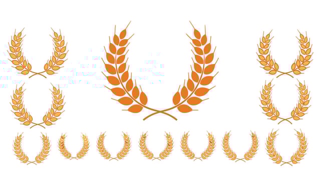Golden Wheat Wreath Set for Awards Victory Achievement Triumphs Celebrations and Harvest vector