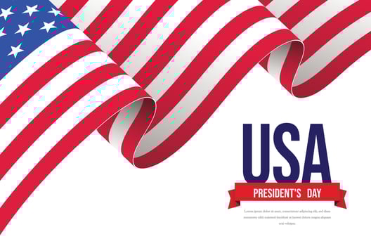 American Flag USA day vector