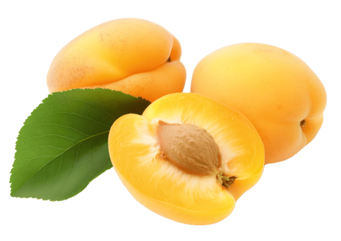 Apricot , transparent fruit with sweet and tangy flavor profile png