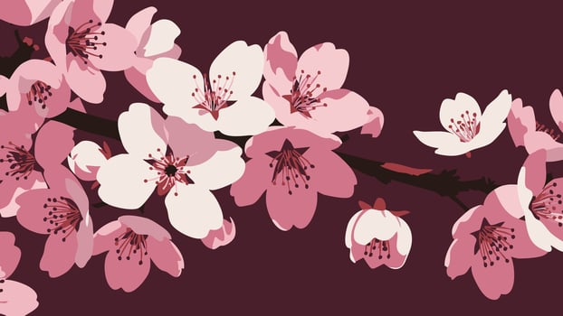 Vibrant Pink and White Cherry Blossoms in a Dark Background vector
