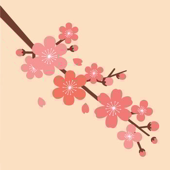 Stylized Cherry Blossom Branch with Pink Petals and White Centers Illustration vector
