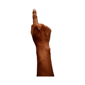 A human hand with the index finger pointing upward, isolated on a transparent background, commonly used as a pointer or gesture for attention or interaction cues. png