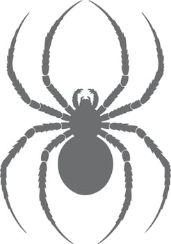 Gray Spider Silhouette Detailed Legs Eight Legs Arachnid Insect Design Element Grey Scale Graphic Illustration vector