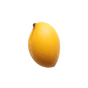 Yellow Apricot Seed Kernel isolated on a transparent background png