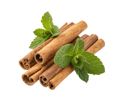 Cinnamon sticks with a fresh spearmint leaves isolated on a transparent background png