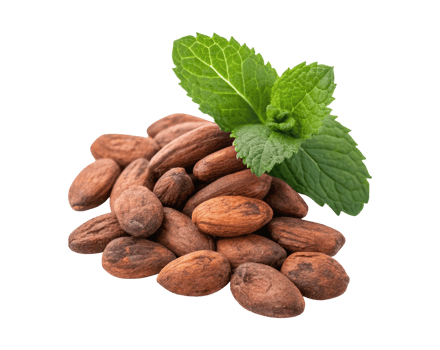 A pile of shelled cocoa beans with mint leaf isolated on a transparent background png